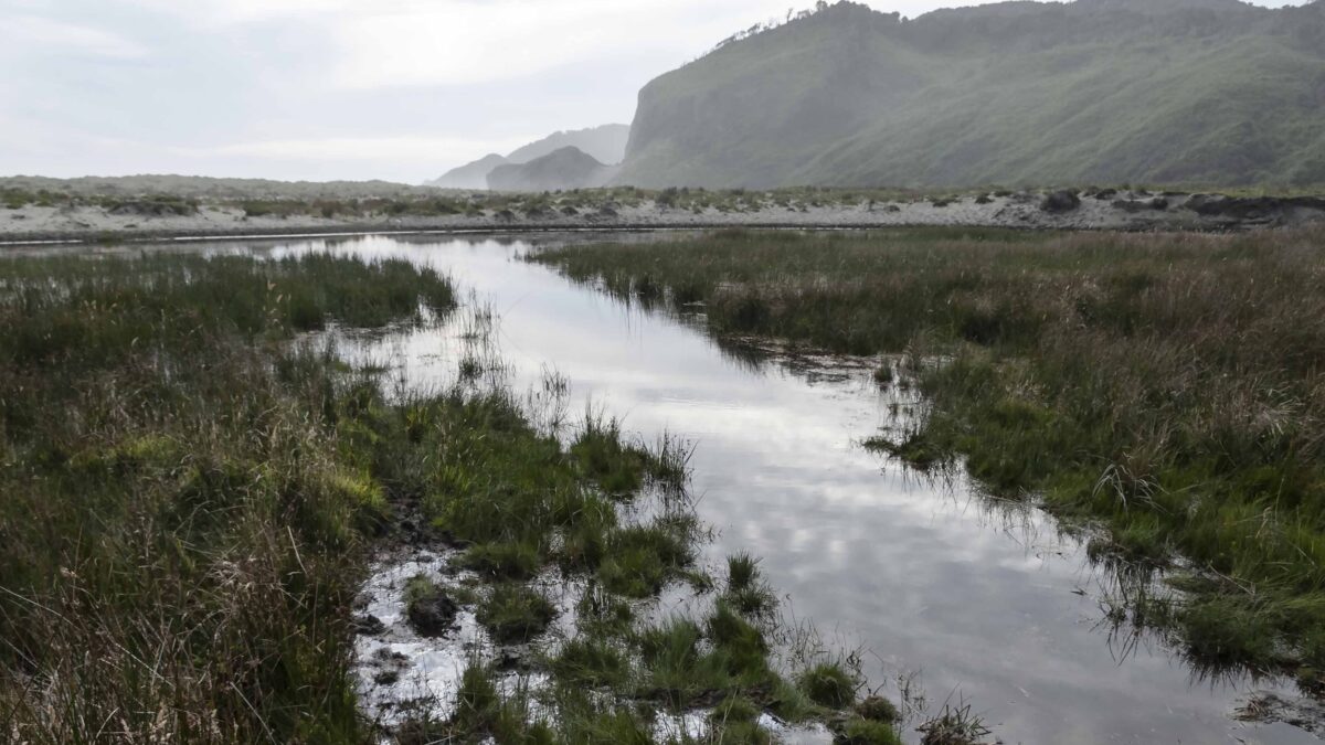 Contactar alerta a agricultores por incremento de lluvias
