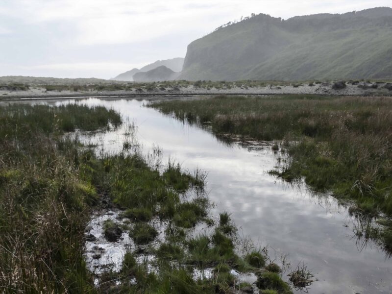 Contactar alerta a agricultores por incremento de lluvias