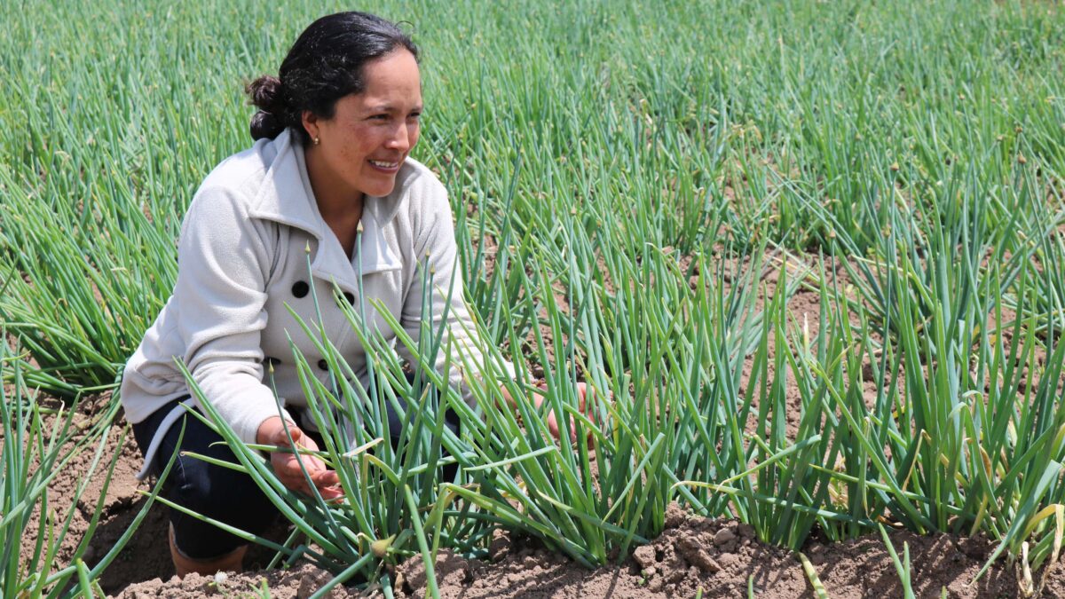 En Contactar celebramos el día de la Mujer Rural apoyando su empoderamiento