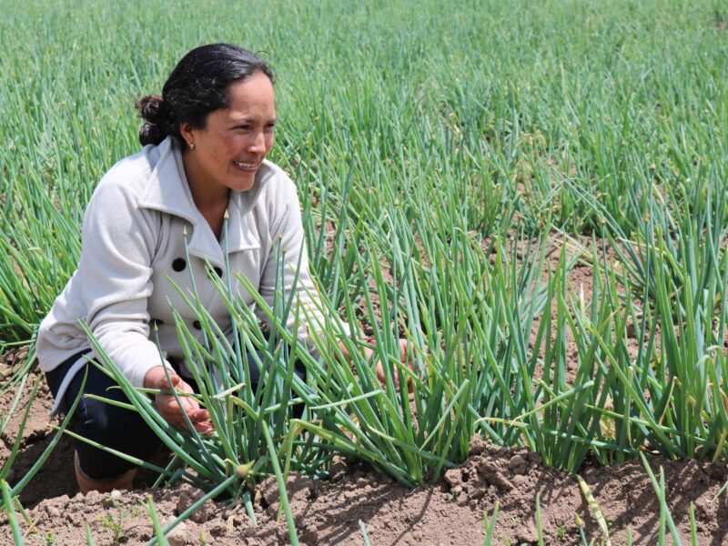 En Contactar celebramos el día de la Mujer Rural apoyando su empoderamiento